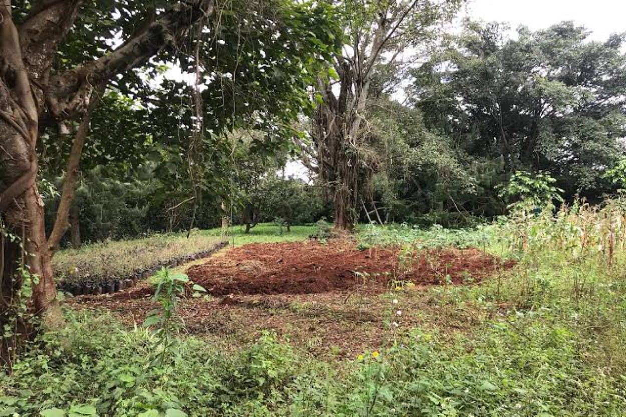 Old Kitisuru 1 One acre Thigiri Lane Clean Tittle deed Very Prime 120M nego