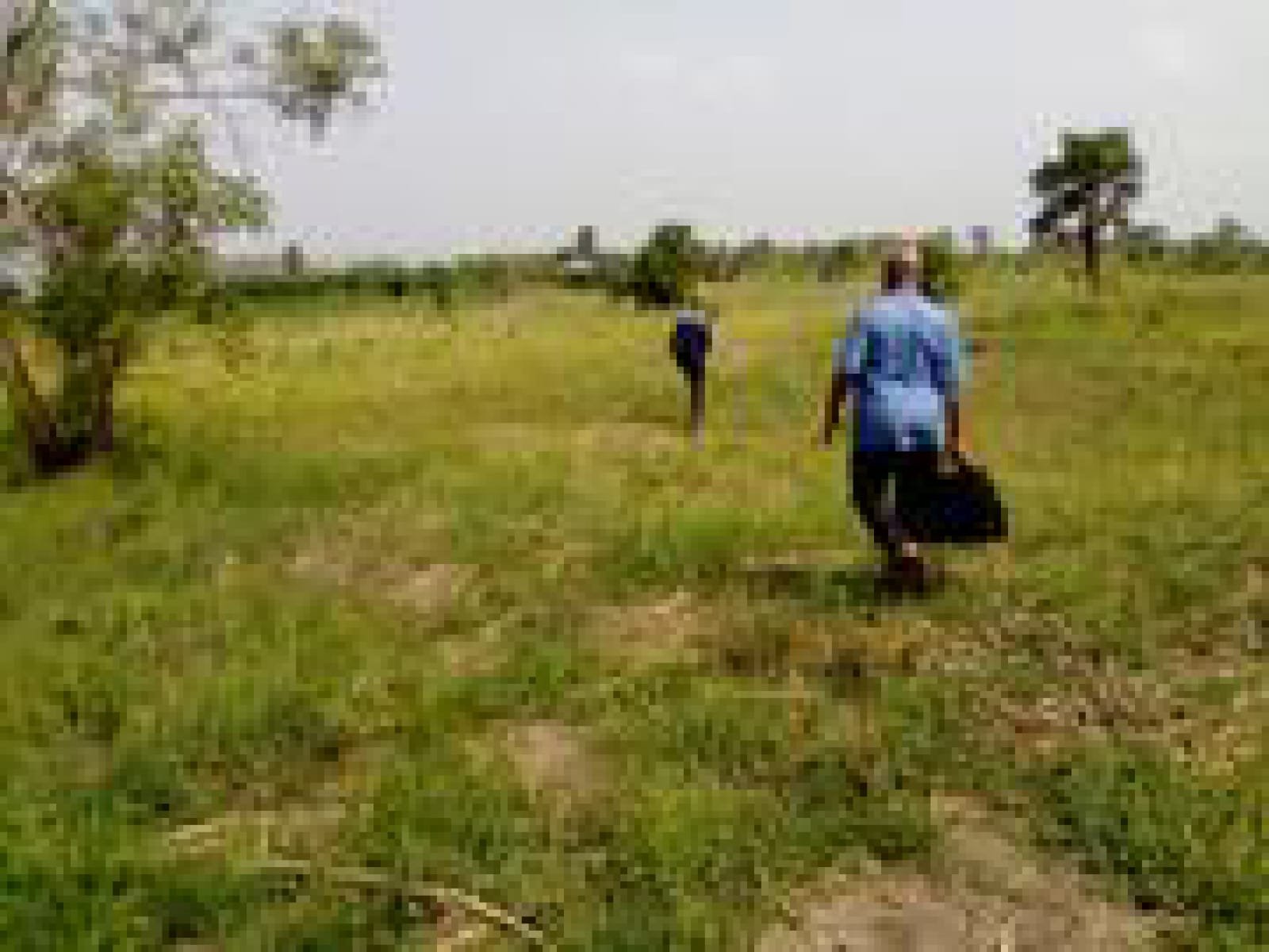 Plots for Sale in Juja Farm 50 by 100 Clean Ready Tittle Deed Fenced Water Tarmac etc