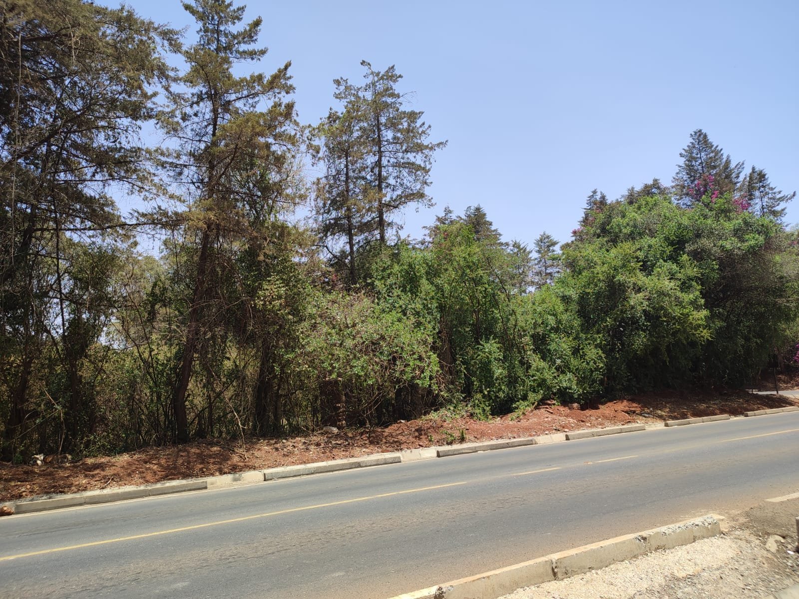 Karen land for sale 1/2 Half Acre Fair Acres Ready Tittle Deed Exclusive!