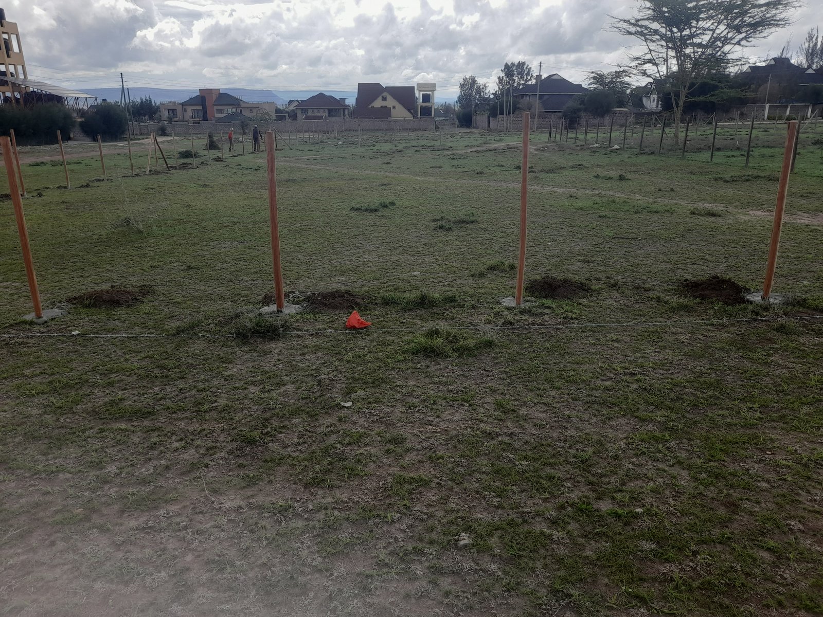 Plot