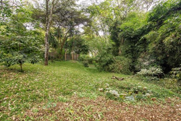 Land for Sale in Karen Bogani Road 1.75 acres 🔥 clean ready title deed