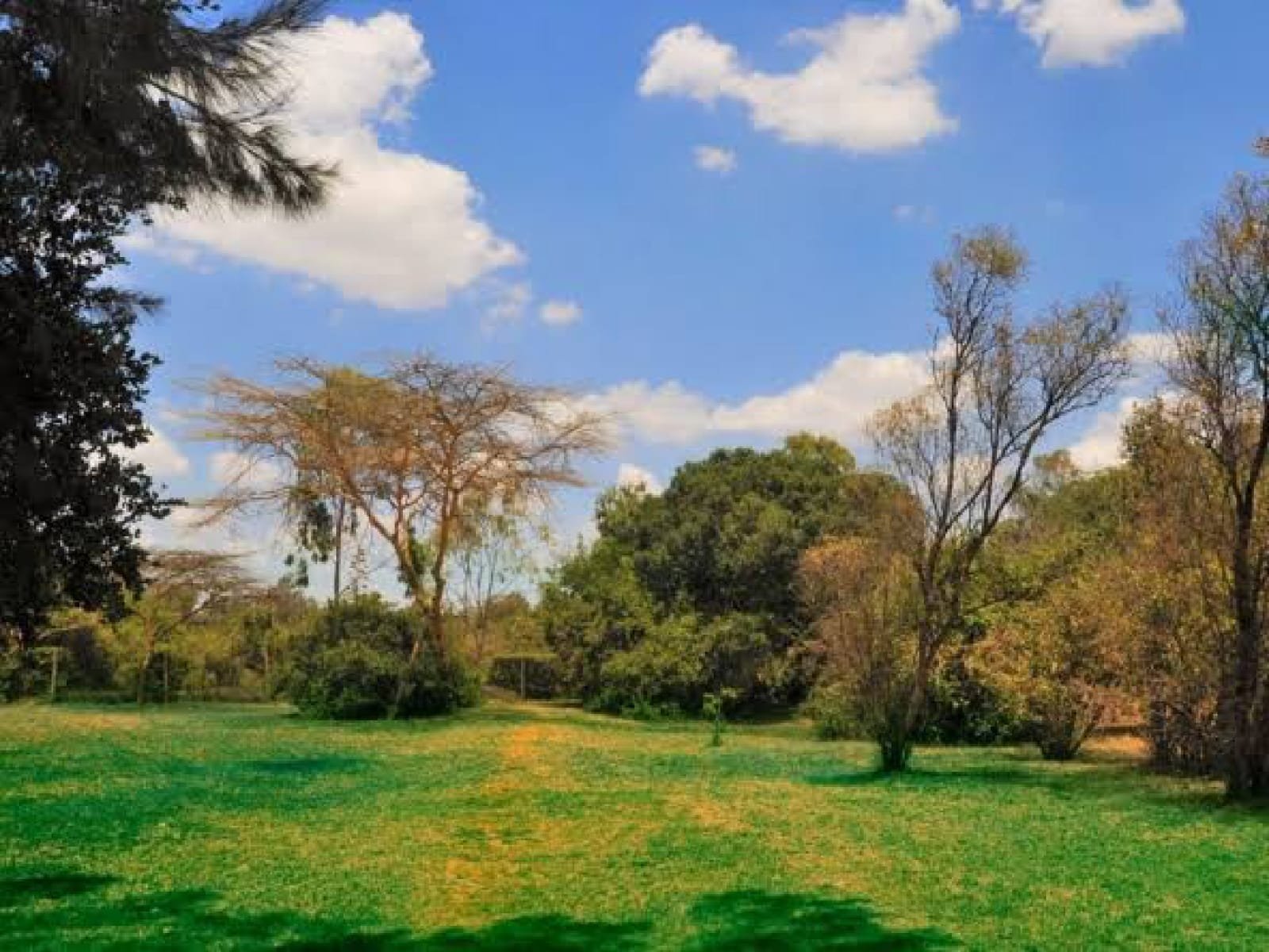 Land For Sale in Karen Karen Hardy half 1/2 Acre Ndovu Road Clean Ready Title Deed