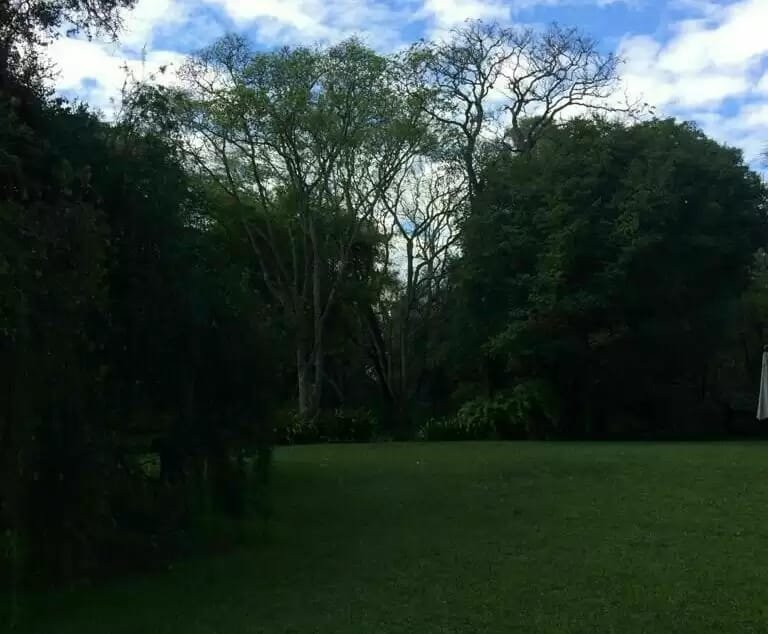 Land For Sale in Karen Forest Edge One 1 Acre 🔥 Ready clean title deed