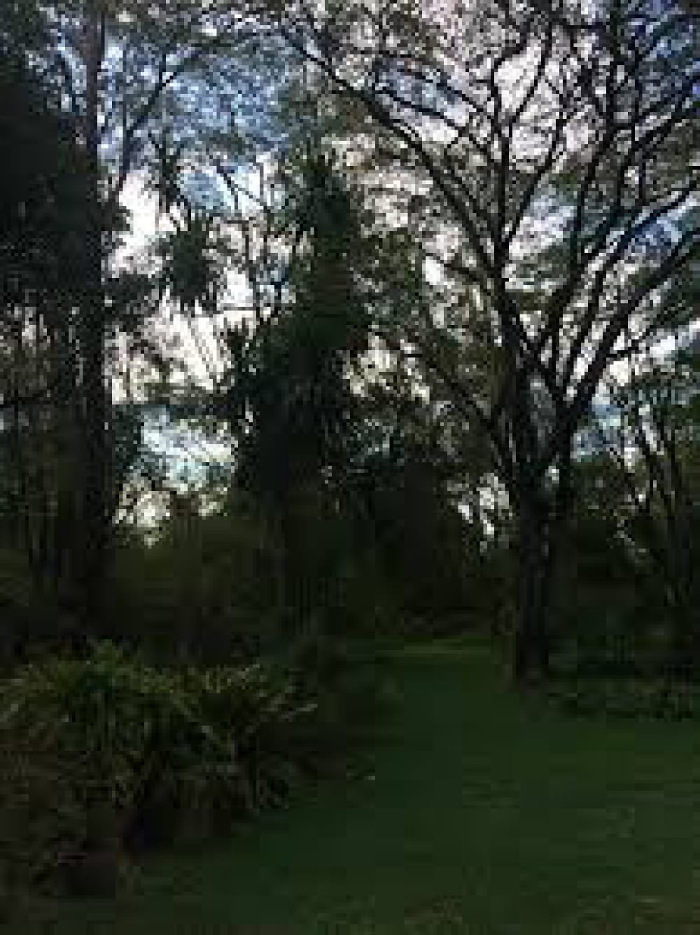 Land For Sale in Karen Forest Edge One 1 Acre 🔥 Ready clean title deed