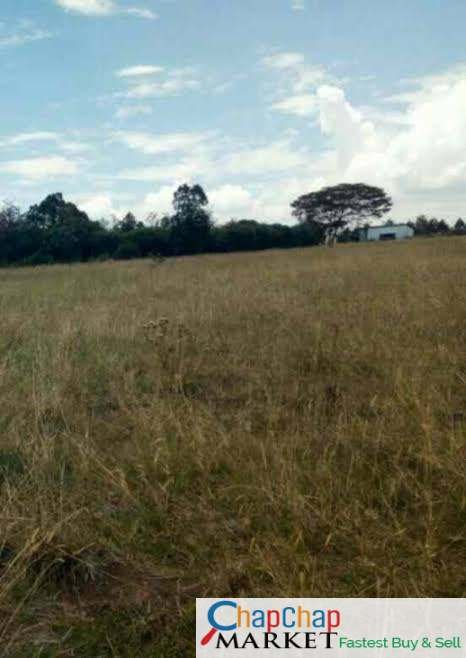 Distress Sale 50 by 100 Land for Sale Nairobi-Nakuru highway Laikipia university (Roots academy)  Clean Title Deed CHEAPEST!