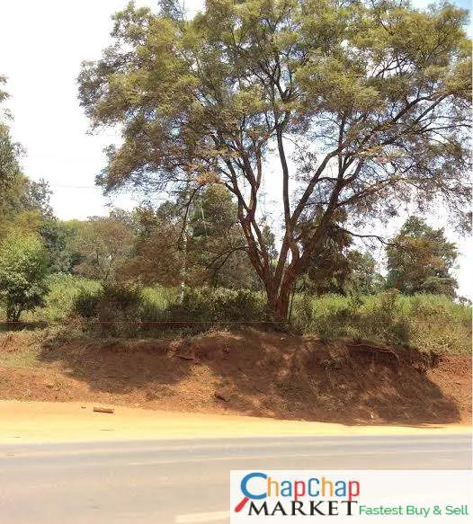 1 acre ridgeways available for lease at 800k fronting kiambu road very secure and easy access