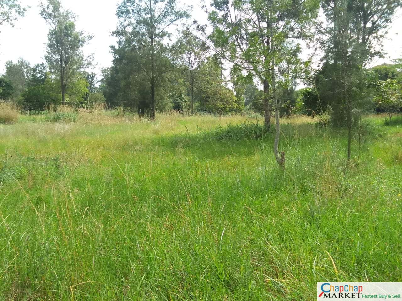 Karen land for sale 3.5 acres, subdivision OK, Ready Title Deed QUICK