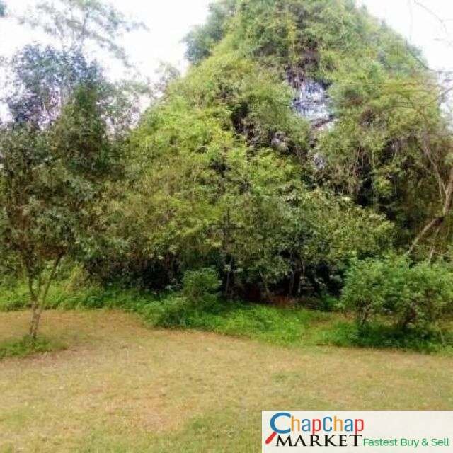 Land for sale in Karen Ready Title Deed QUICK SALE🔥 1/2 acre Academy Road gated half 0.5