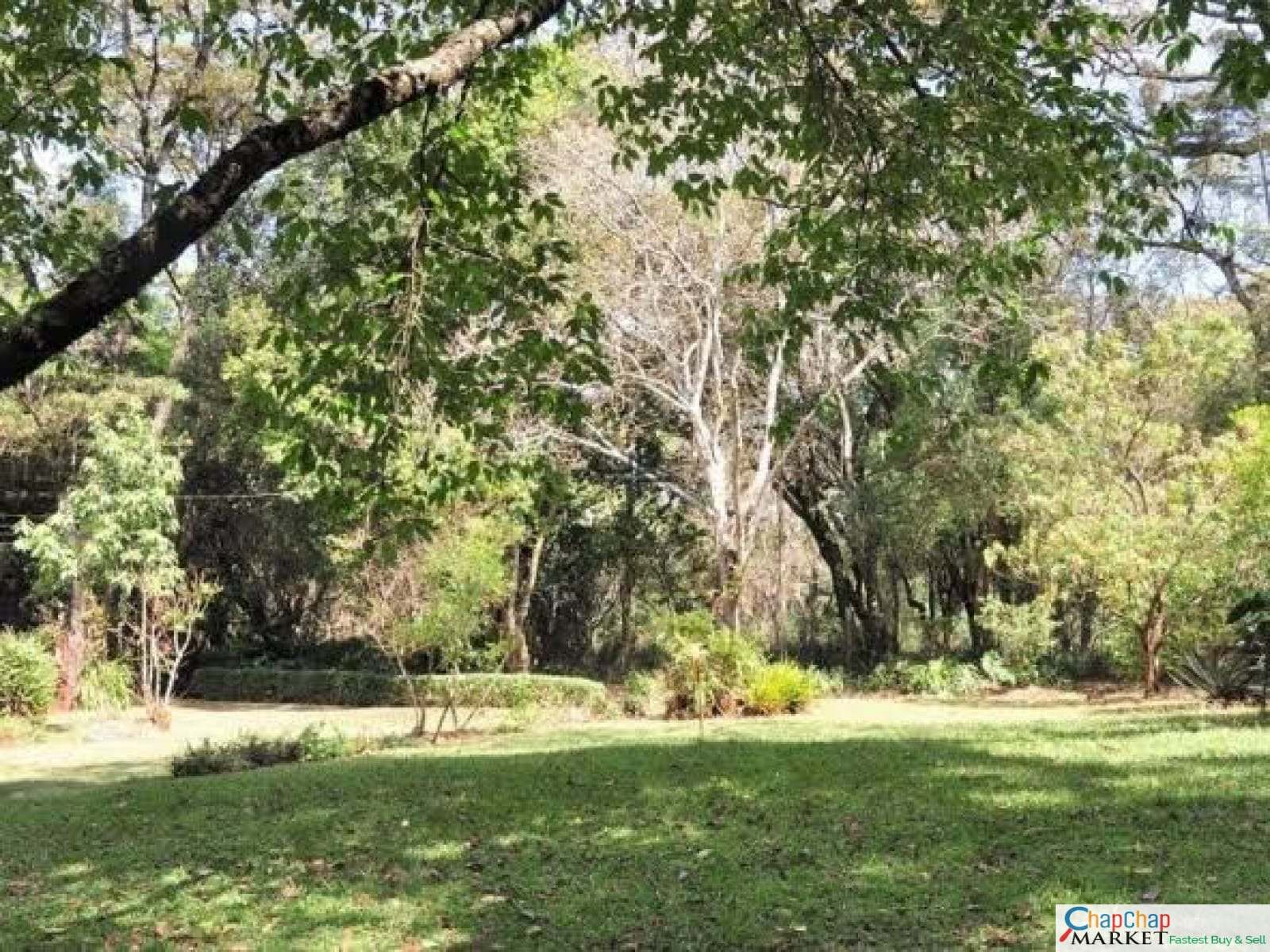 Land for sale in Karen Ready Title Deed QUICK SALE🔥1/2 acre half Falcon Close 35M  0.5 acre
