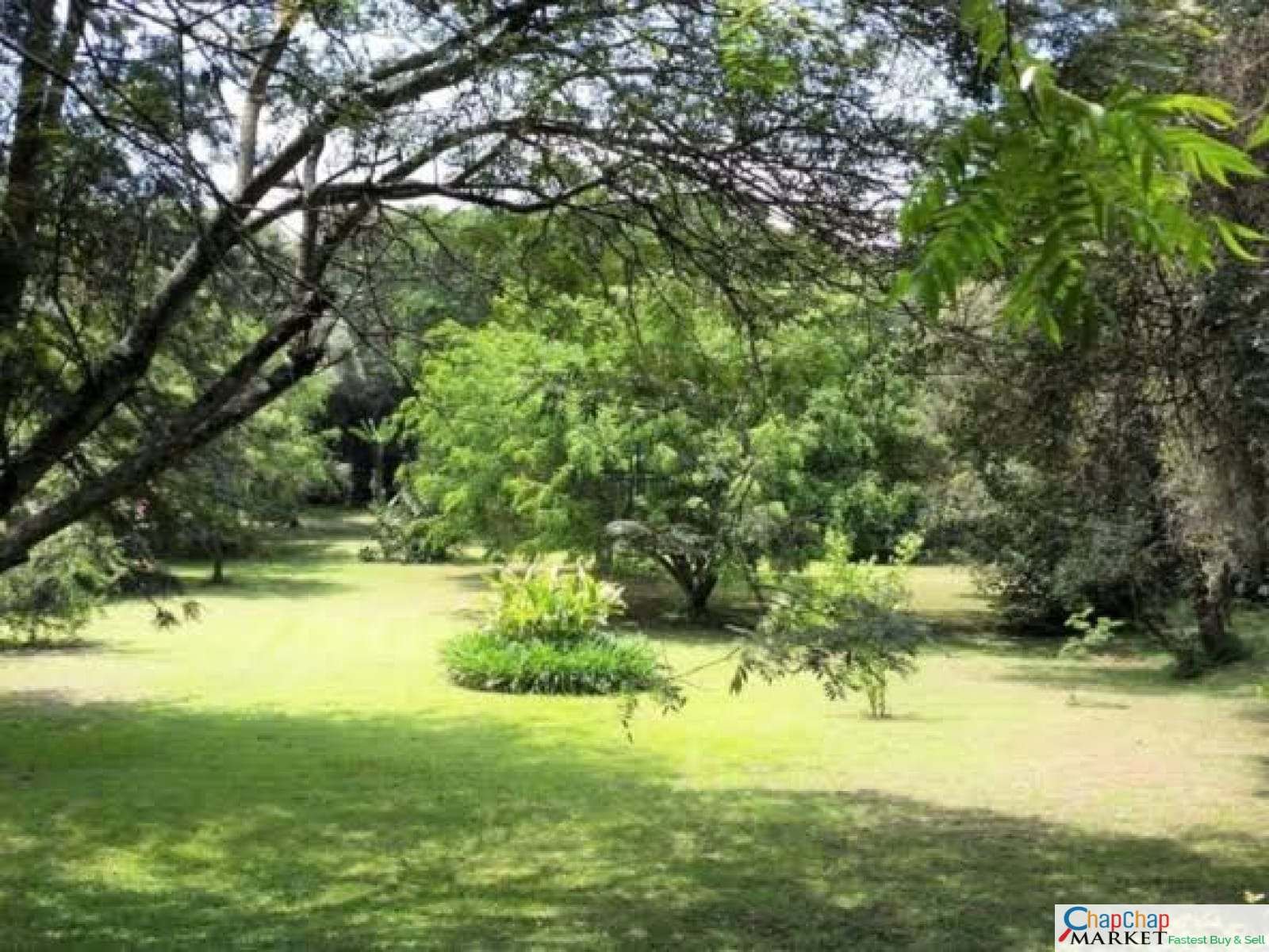 Land for sale in Karen Ready Title Deed QUICK SALE🔥Half 0.5 acre 1/2 acre gated Hillcrest Road 35M