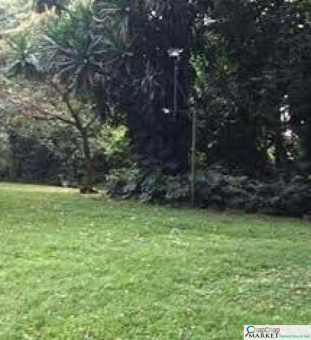 Land for sale in Karen Ready Title Deed QUICK SALE🔥1/2 acre half Falcon Close 35M  0.5 acre