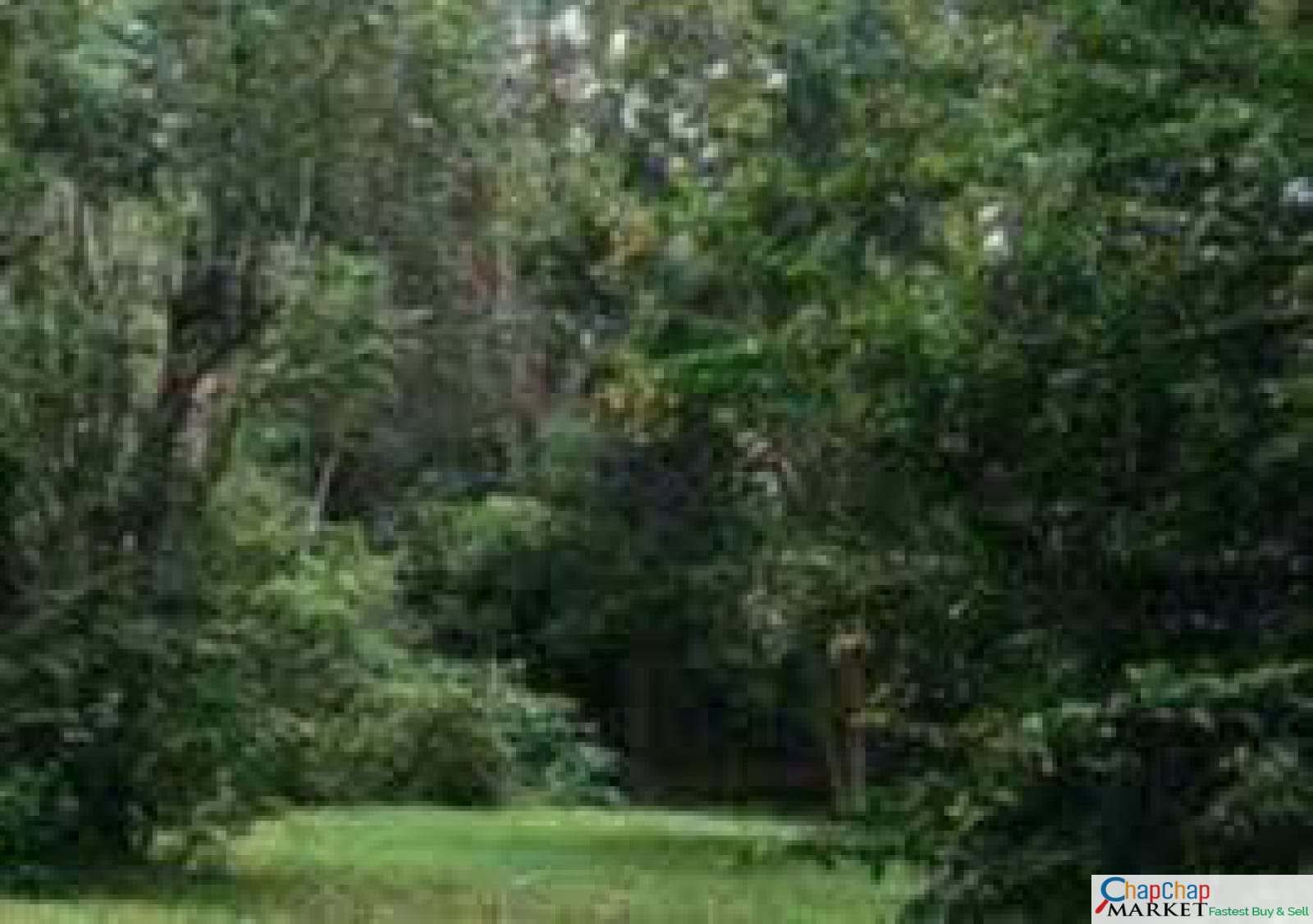 Land for sale in Karen Ready Title Deed QUICK SALE🔥1/2 acre half Falcon Close 35M  0.5 acre