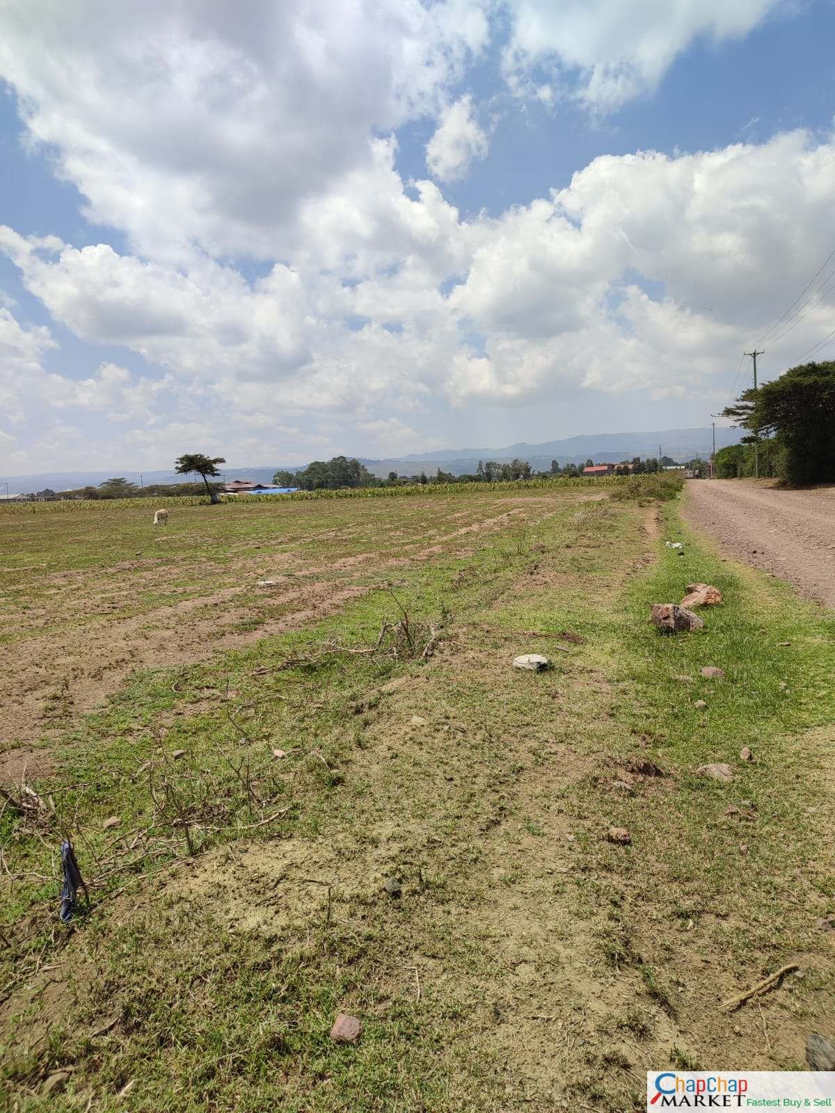 Land for Sale in Nakuru 6 acres for sale Eastgate Nakuru QUICK SALE Clean Title Deed