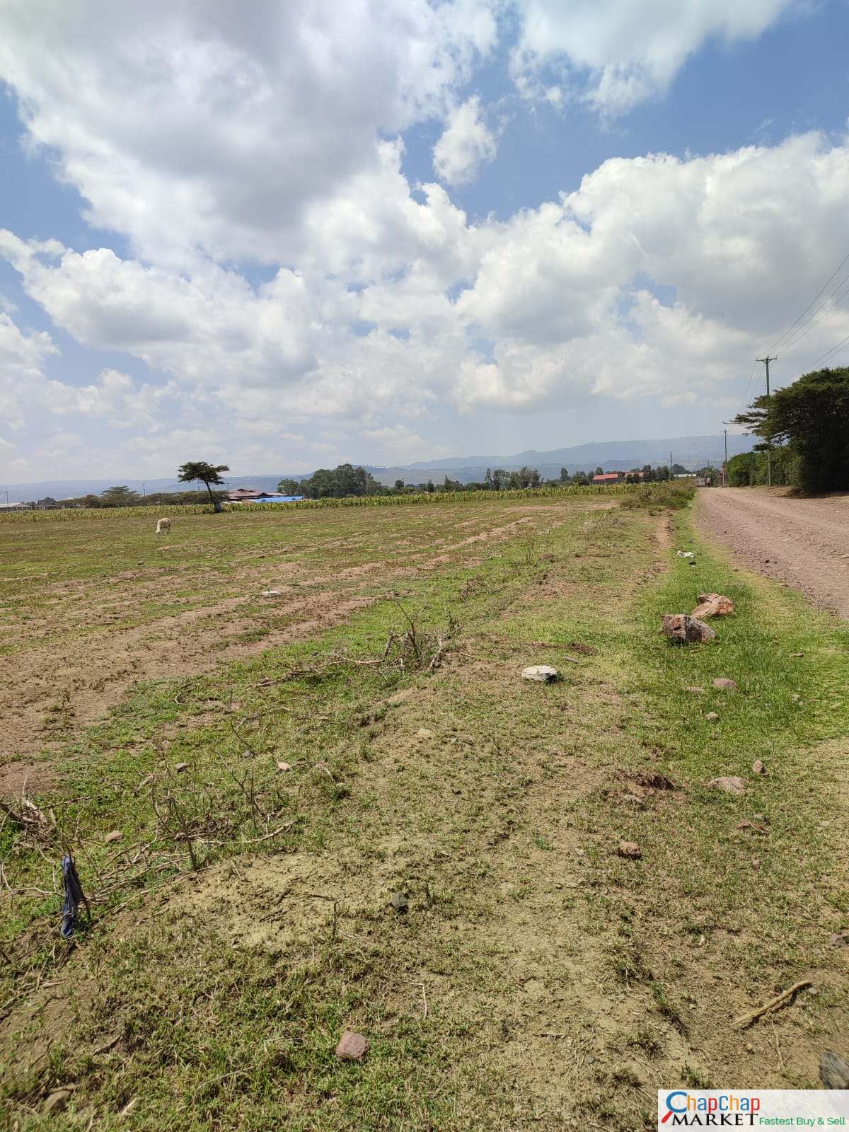 Land for Sale in Nakuru 15 acres for sale Eastgate Nakuru QUICK SALE  Clean Title Deed