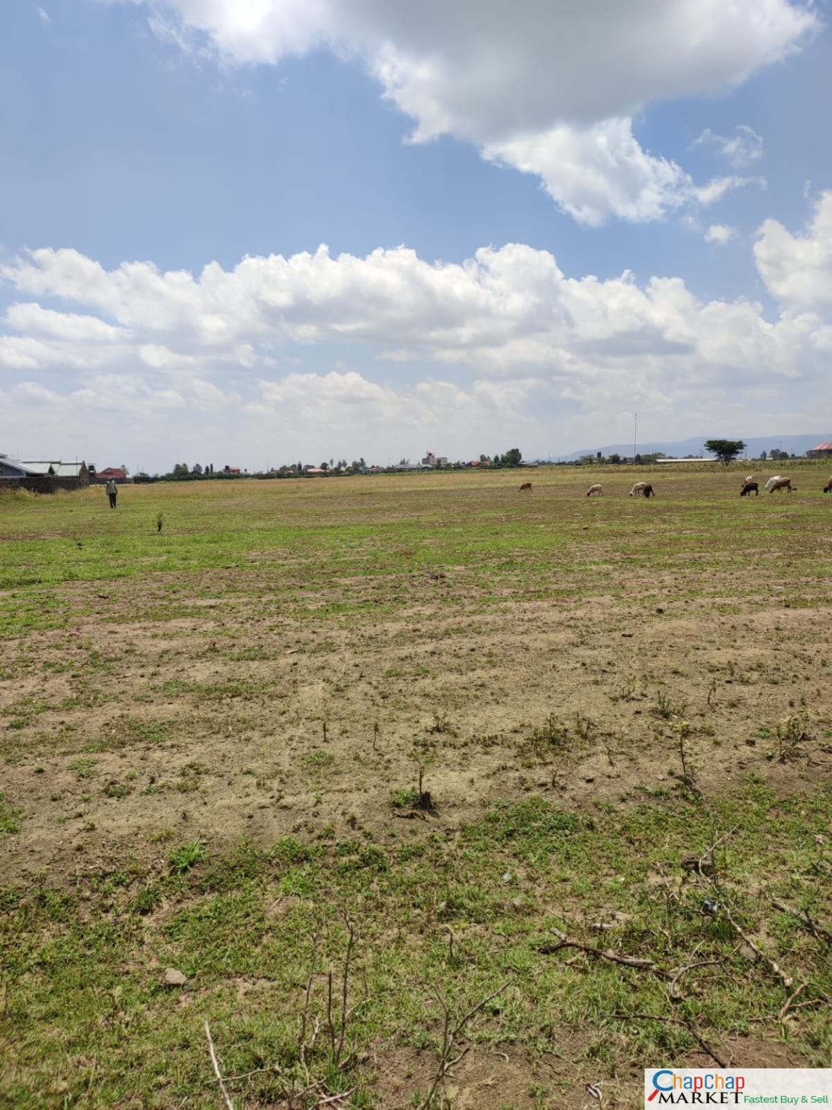 Land for Sale in Nakuru 3 acres for sale Eastgate Nakuru QUICK SALE Clean Title Deed