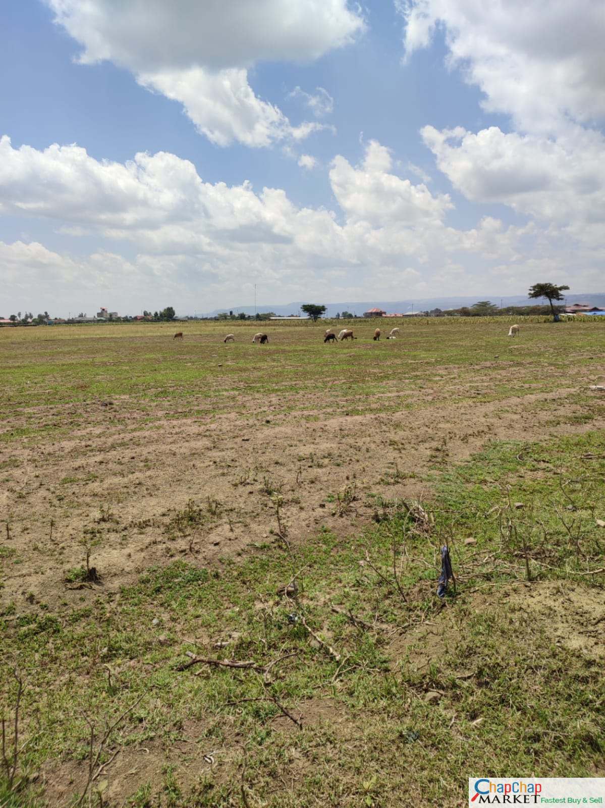 Land for Sale in Nakuru 3 acres for sale Eastgate Nakuru QUICK SALE Clean Title Deed