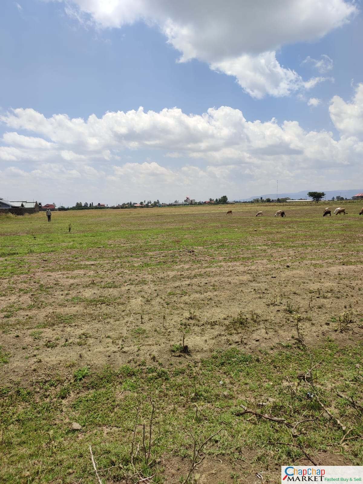 Land for Sale in Nakuru 3 acres for sale Eastgate Nakuru QUICK SALE Clean Title Deed