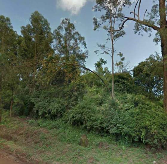Land for sale in Karen Ready Title Deed QUICK SALE 1/2 acre Hardy