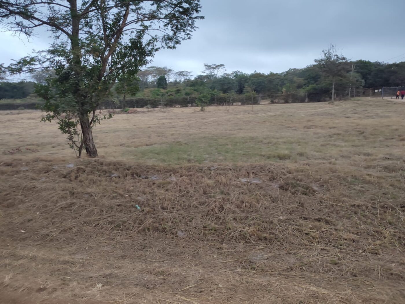 Land for sale in Karen Ready Title Deed QUICK SALE 1/2 acre Catholic University🔥1/2 acre near CUEA university