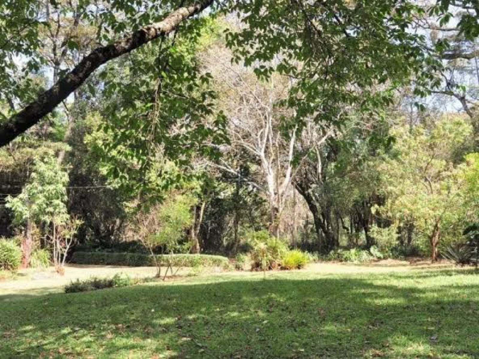 Real Estate Land For Sale-List of 100 Land For Sale In Karen Kenya Ready Clean Title Deed, House For Sale and Rent BEST PRICES acre Acres 6