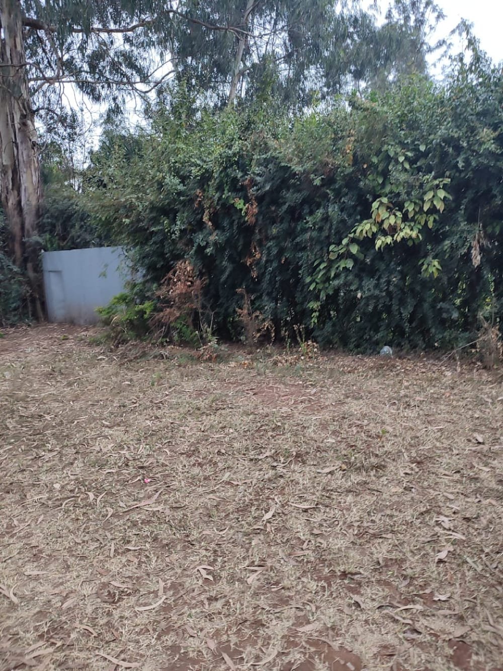Land for sale in Karen Ready Title Deed QUICK SALE 1/2 acre Catholic University🔥1/2 acre near CUEA university