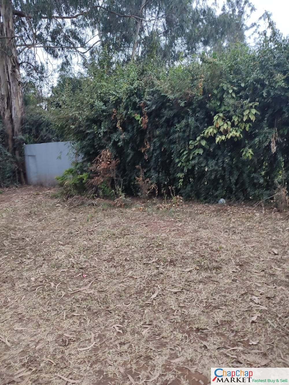 Land for sale in Karen Mokoyeti behind stedmak Half Acre each Ready Title Deed QUICK SALE 1/2 0.5 acre Exclusive 🔥