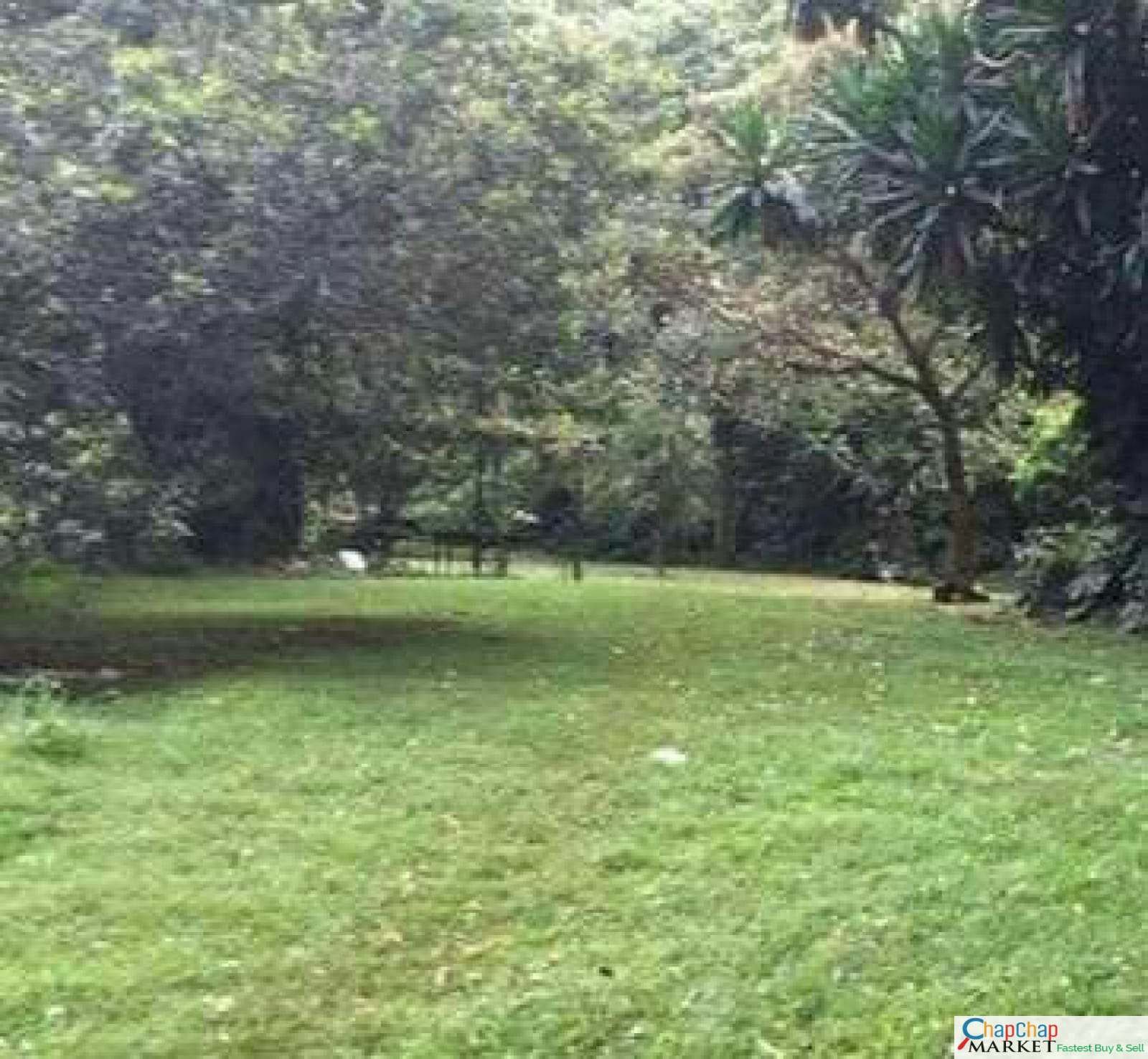 Land for sale in Karen Mokoyeti behind stedmak Half Acre each Ready Title Deed QUICK SALE 1/2 0.5 acre Exclusive 🔥