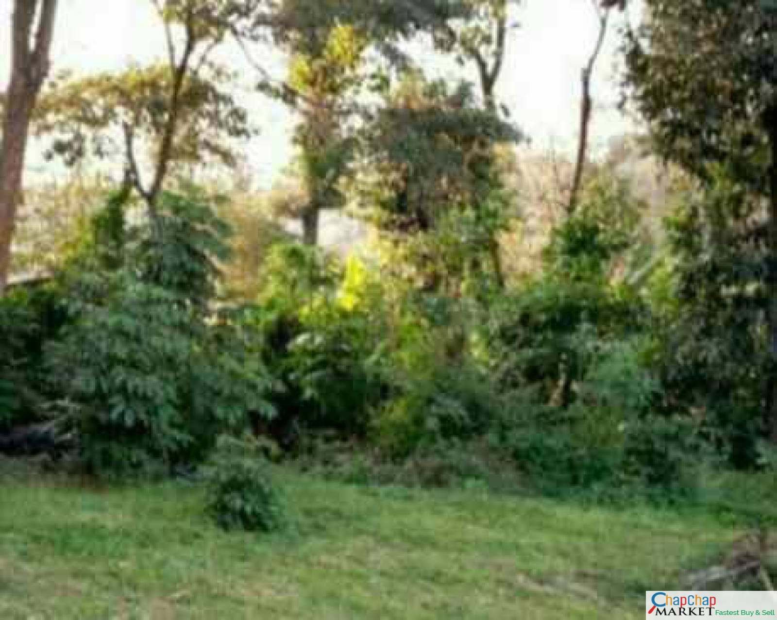 Land for sale in Karen Mokoyeti behind stedmak Half Acre each Ready Title Deed QUICK SALE 1/2 0.5 acre Exclusive 🔥