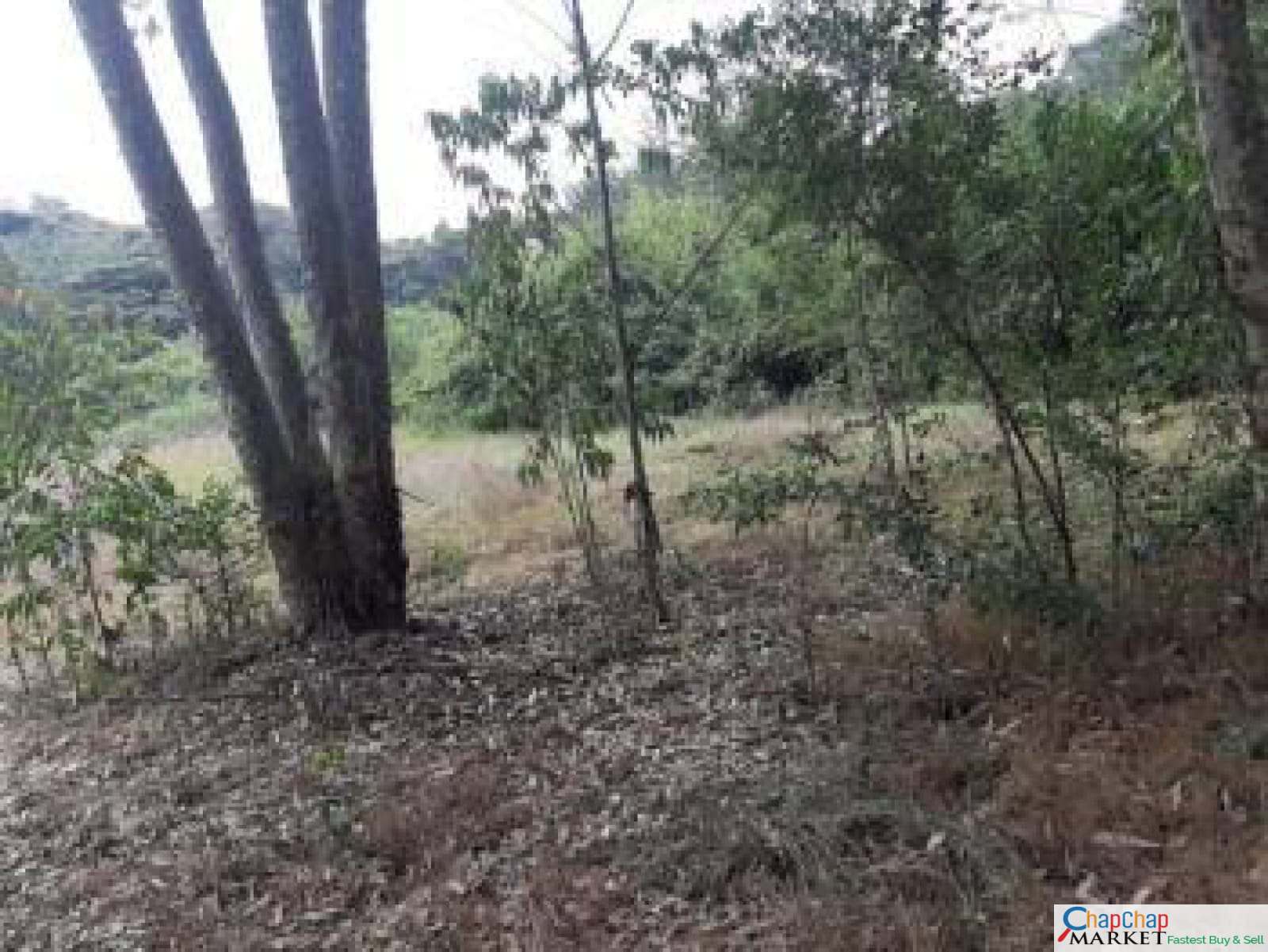 Land for sale in Karen Mokoyeti behind stedmak Half Acre each Ready Title Deed QUICK SALE 1/2 0.5 acre Exclusive 🔥