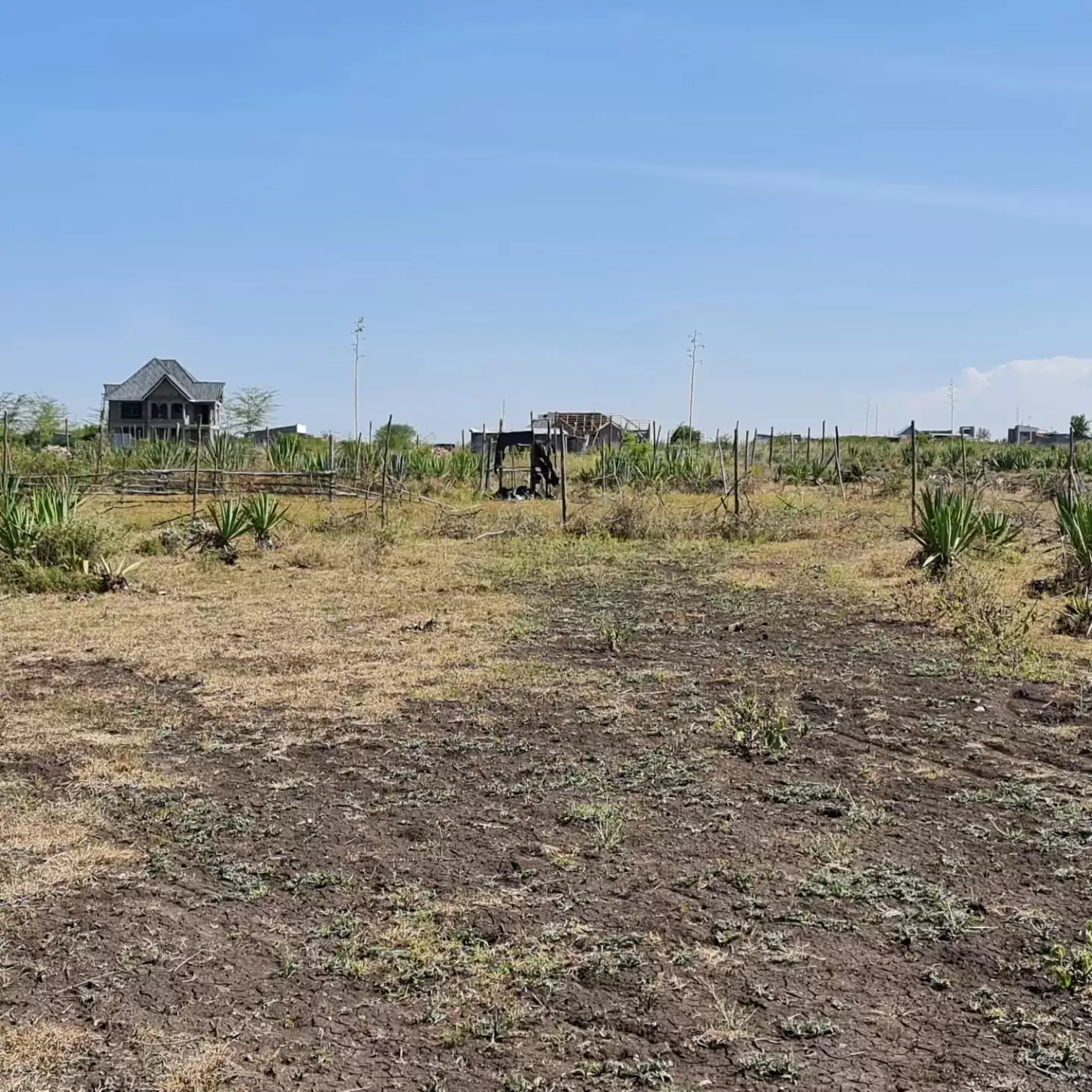 Plots 50×100 land for sale in a fast growing katani road  syokimau area at an affordable price, tittle ready for exchange and transfer