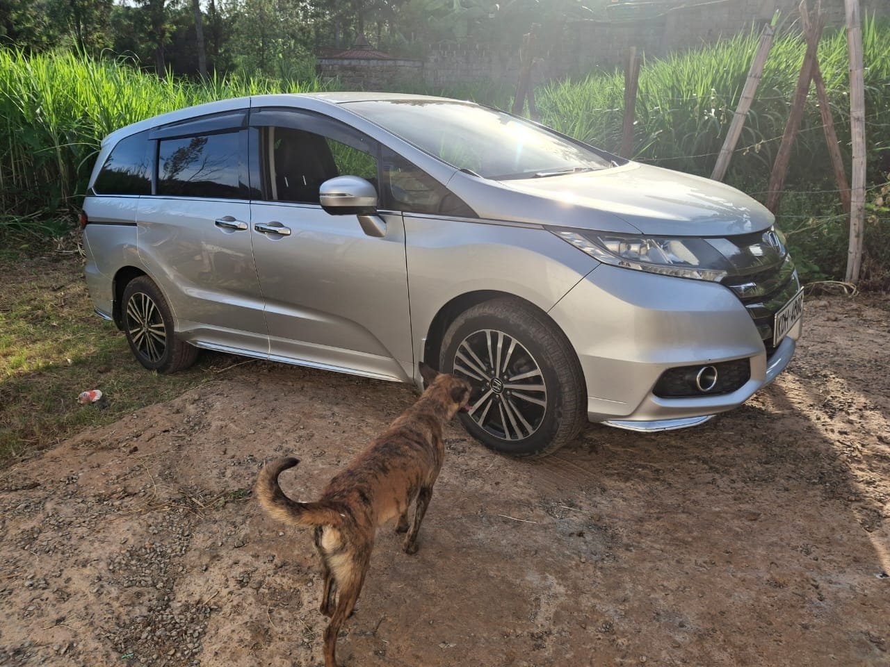 Honda Odyssey QUICK SALE You Pay 30% Deposit Hire purchase installments UpTo 70% financing/finance NO CRB STATUS CHECK Trade in OK new