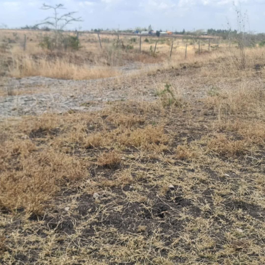 Plots 50×100 land for sale in a fast growing katani road  syokimau area at an affordable price, tittle ready for exchange and transfer