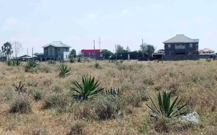 Plots 50×100 land for sale in a fast growing katani road  syokimau area at an affordable price, tittle ready for exchange and transfer