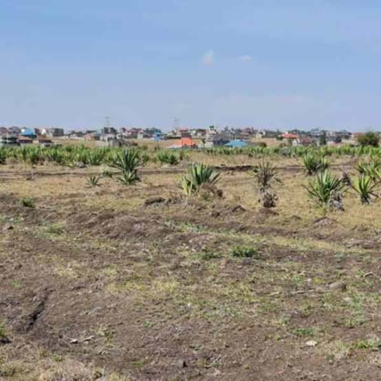 Plots 50×100 land for sale in a fast growing katani road  syokimau area at an affordable price, tittle ready for exchange and transfer