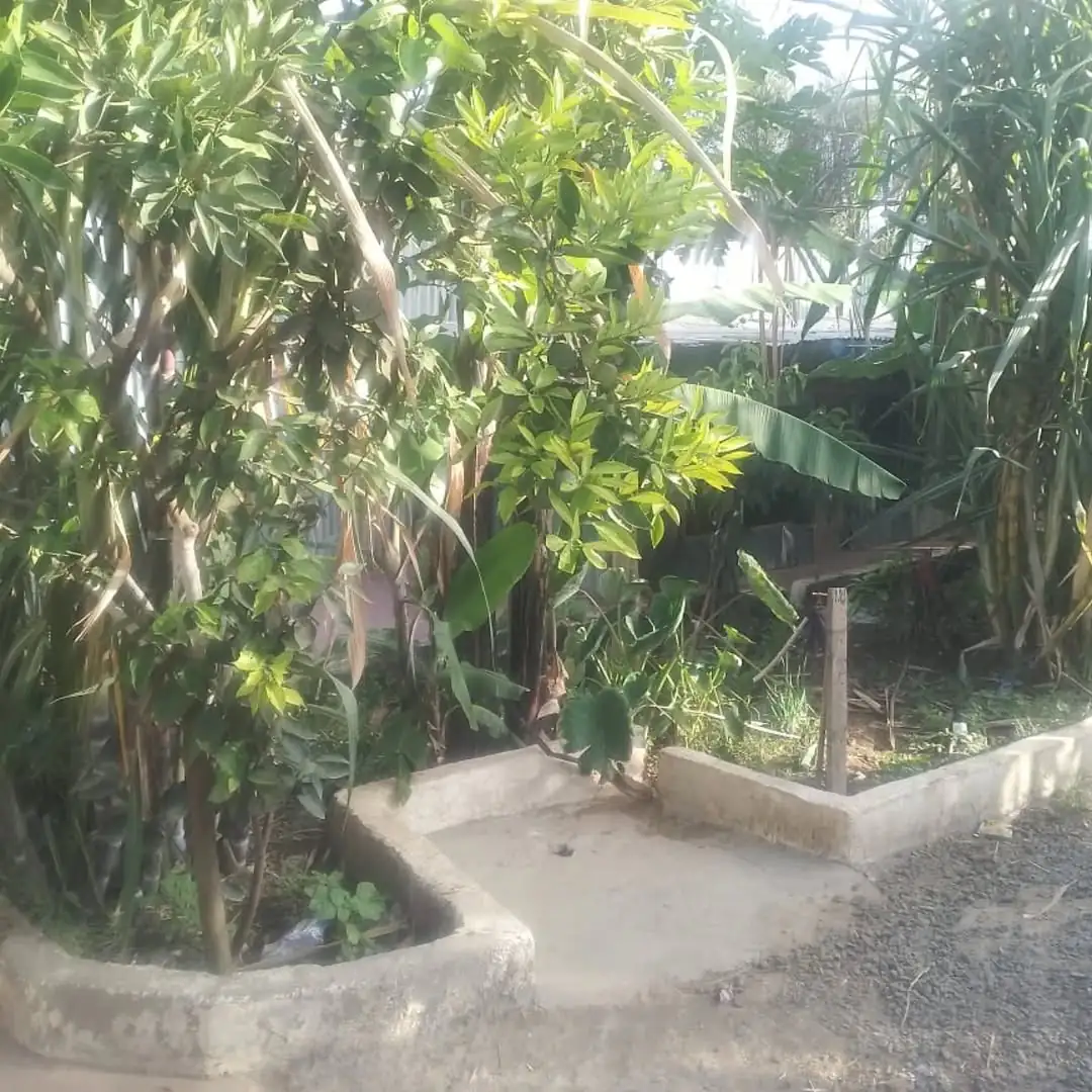 Kitengela Town centre spacious 3 bedroom Bungalow with SQ Water tank perimeter wall QUICKEST SALE EVER 21 Kitengela Town centre spacious 3 bedroom Bungalow with SQ Water tank perimeter wall QUICKEST SALE EVER