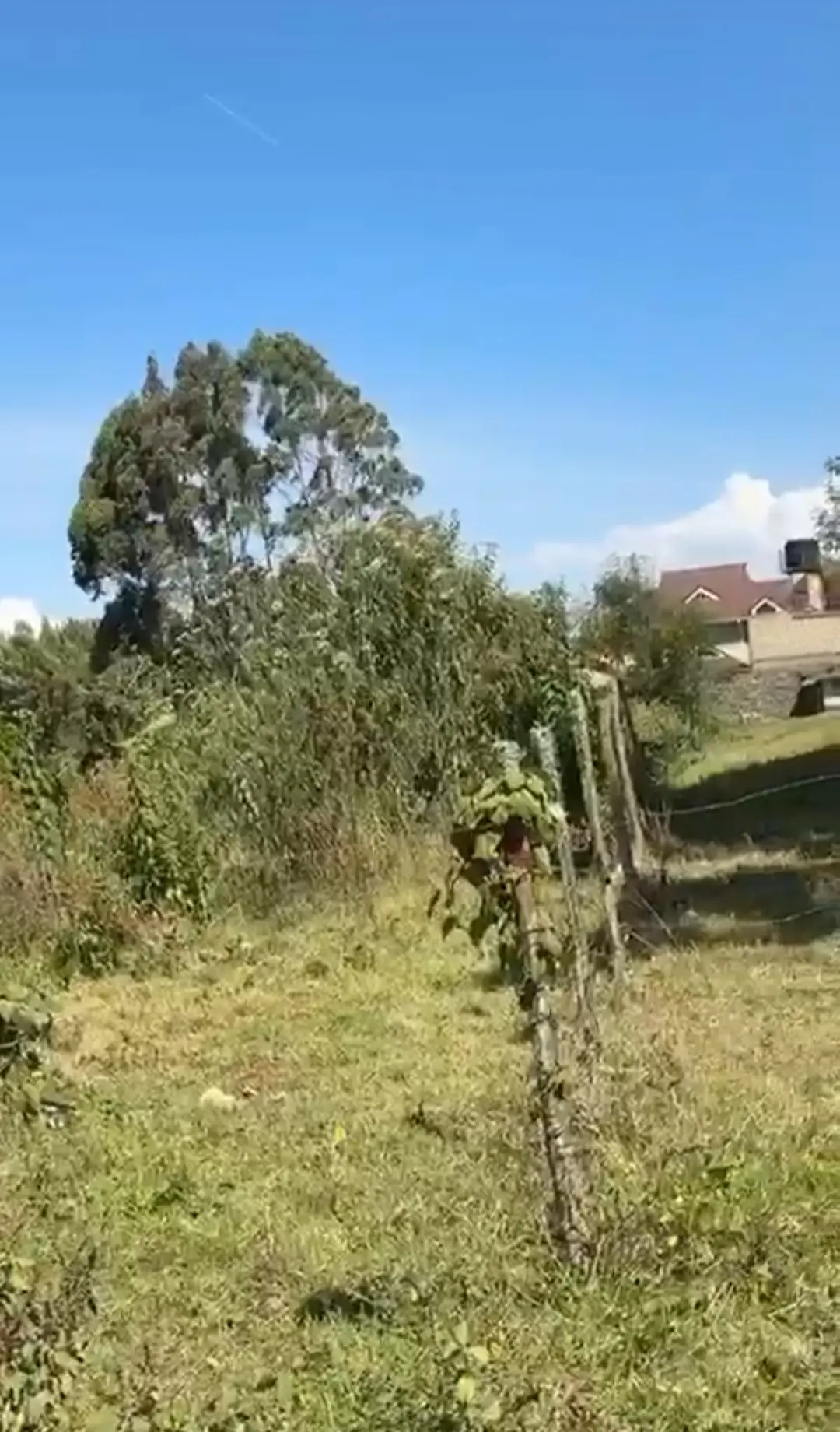 Land For sale in Tilisi Kiambu County Opposite Naivas Tilisi. Clean Title Deed. All Amenities Available.