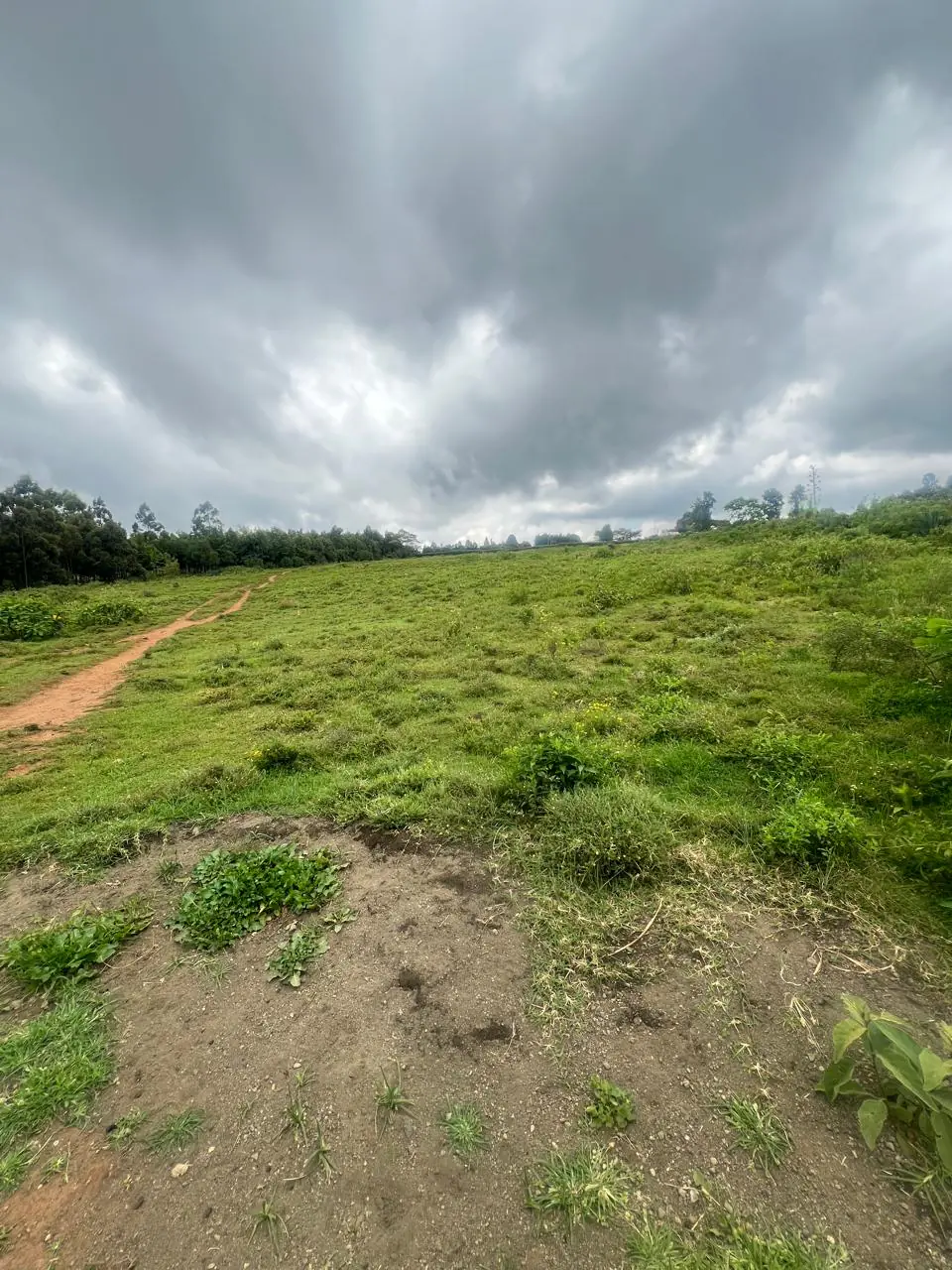 Ready Clean Tittle Deed, Land/Plots  For Sale In Kisumu County Nyanza Region