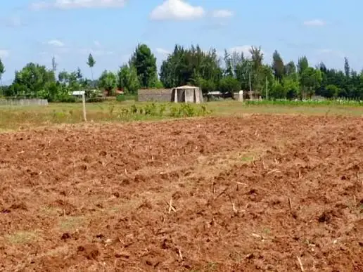 Ready Clean Tittle Deed, Land/Plots  For Sale In Kisumu County Nyanza Region