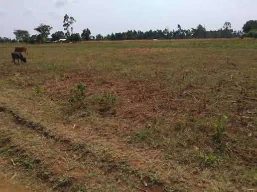 Ready Clean Tittle Deed, Land/Plots  For Sale In Kisumu County Nyanza Region