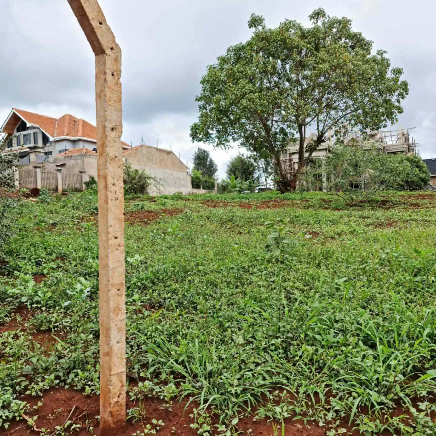 RUNDA MUMWE: 0.5-Acre Vacant Plot QUICK SALE Ready Clean title deed