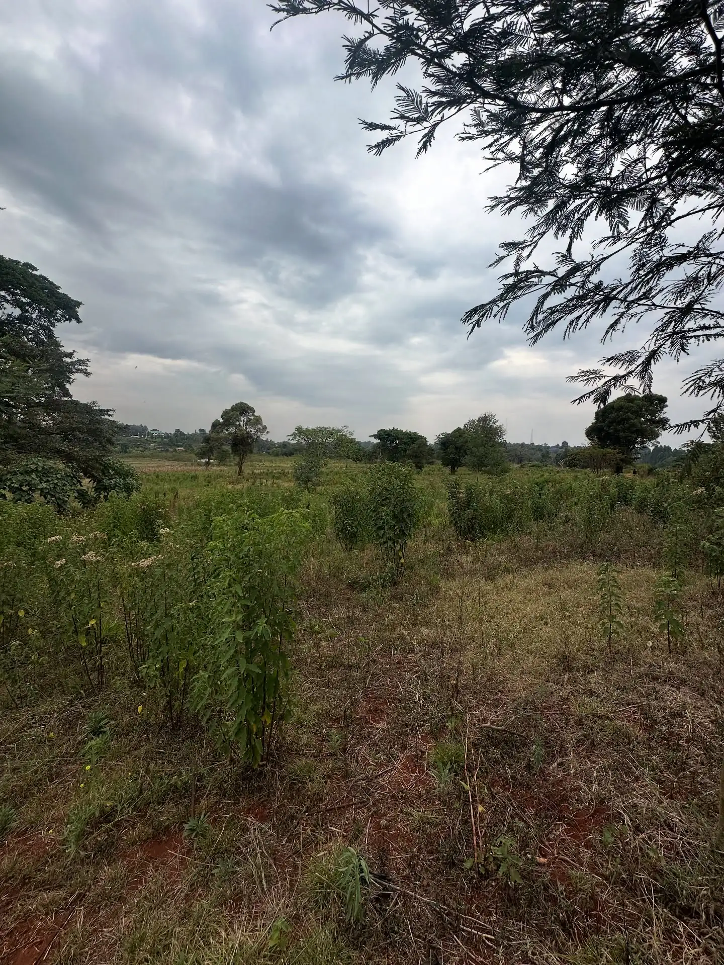 Karen Land For Sale KERARAPON 3rd Drive: half ½-Acre Plot KSh32M negotiable  Ready Clean title deed