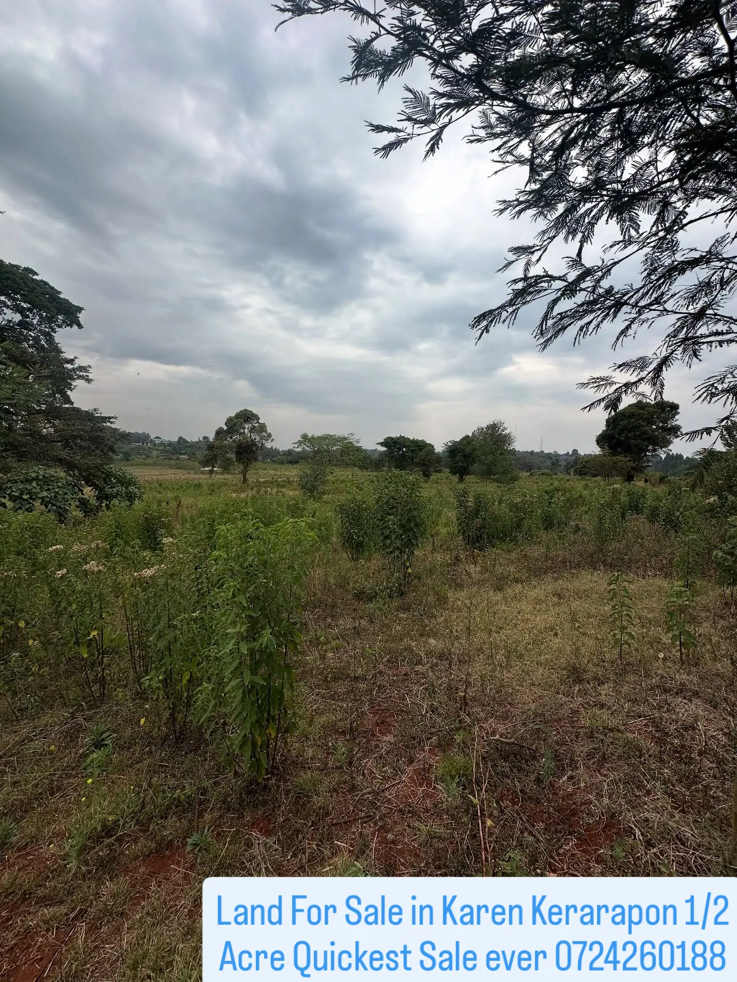 Karen Land For Sale KERARAPON 3rd Drive: half ½-Acre Plot KSh32M negotiable  Ready Clean title deed