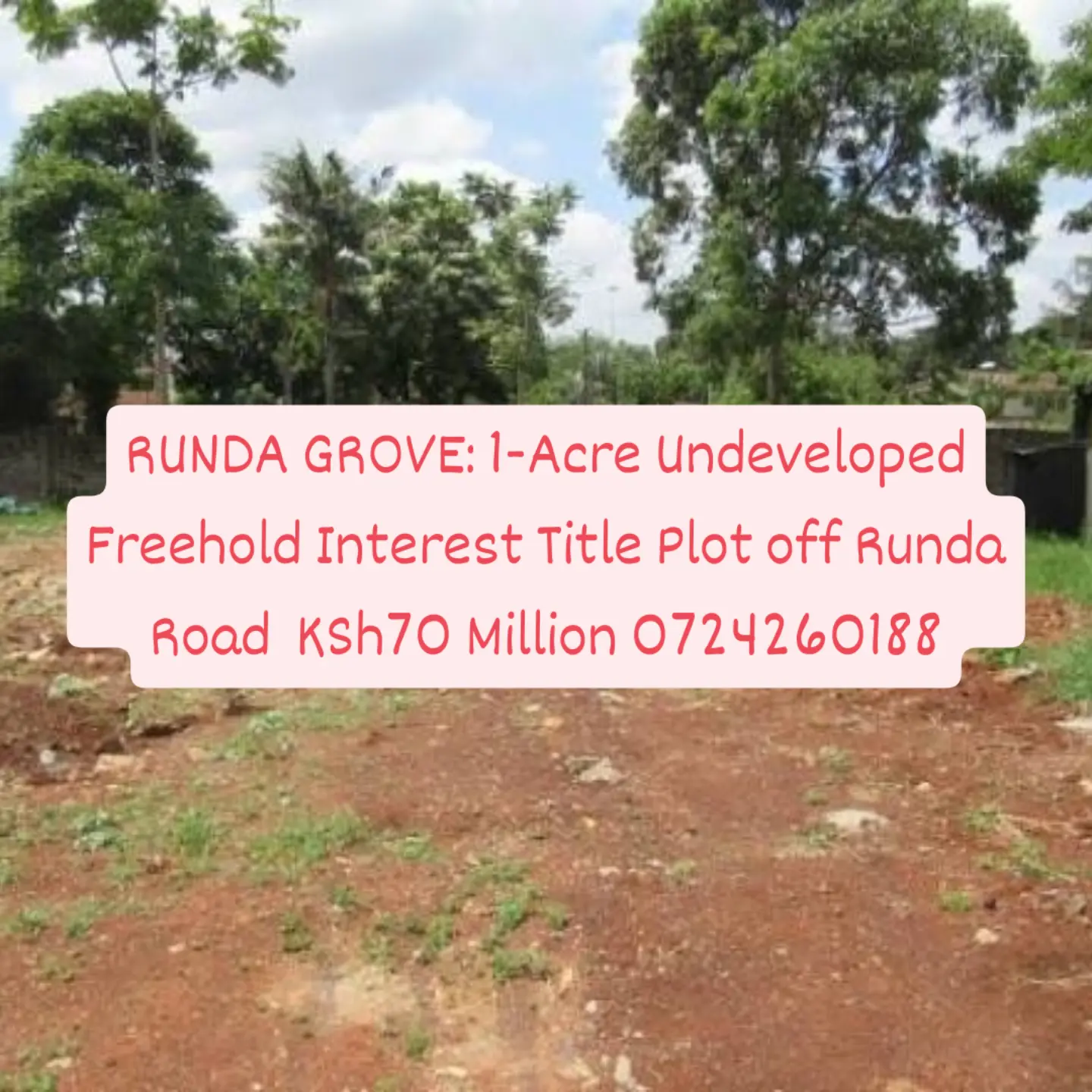 RUNDA GROVE: 1-Acre Undeveloped Freehold Interest Title Plot off Runda Road for   KSh70 Million