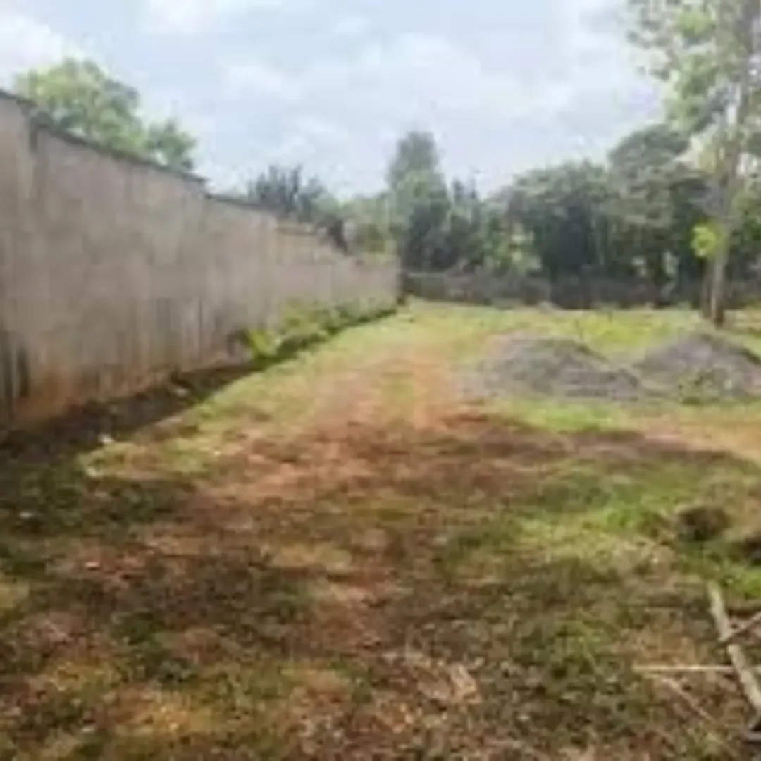 RUNDA GROVE: 1-Acre Undeveloped Freehold Interest Title Plot off Runda Road for   KSh70 Million