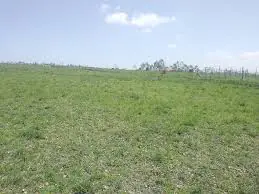 QUICK SALE Clean Ready title 5 acre land for sale in acacia kitengela Kajiado county going for 65m negotiable