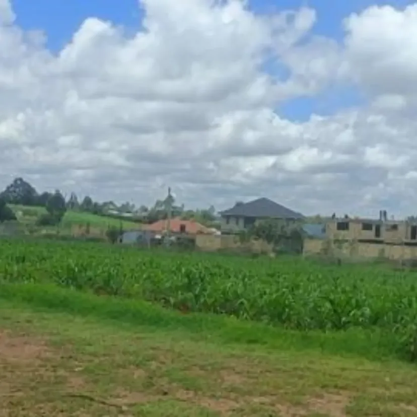 6 Prime Residential Plots for Sale in Gikambura!  Quick Sale Ready Title Deed