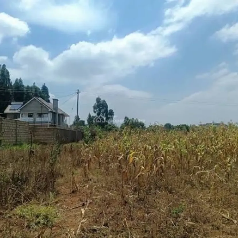 6 Prime Residential Plots for Sale in Gikambura!  Quick Sale Ready Title Deed