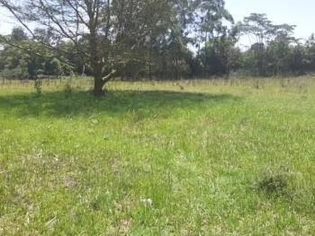 Land For Sale Real Estate-Karen land for sale 1/2 Half Acre Kufuga Lane Ready Tittle Deed Exclusive! 1
