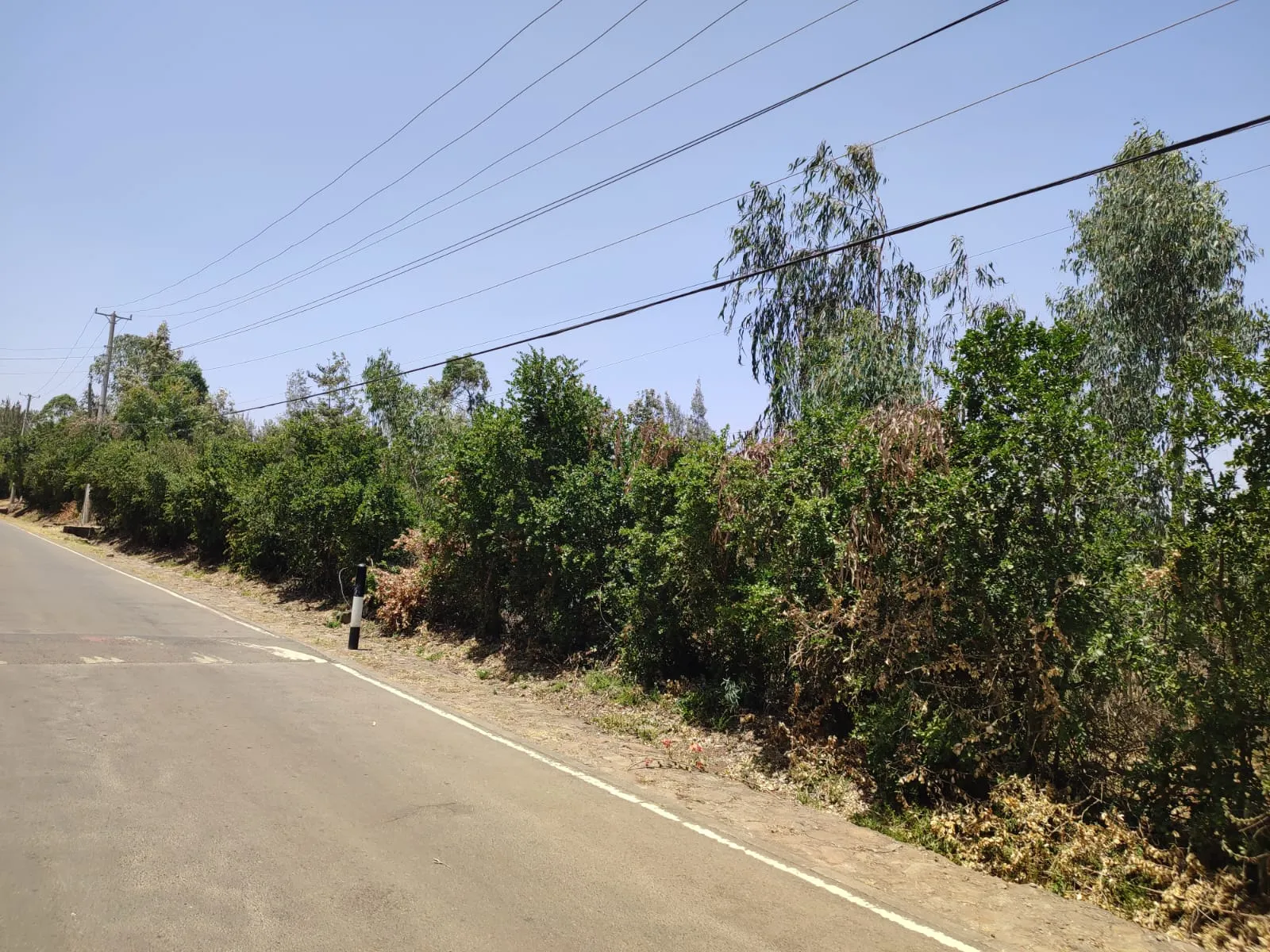 Karen Land For Sale 9.5 acres Koitobos Road Hardy Ready Title Deed 🔥