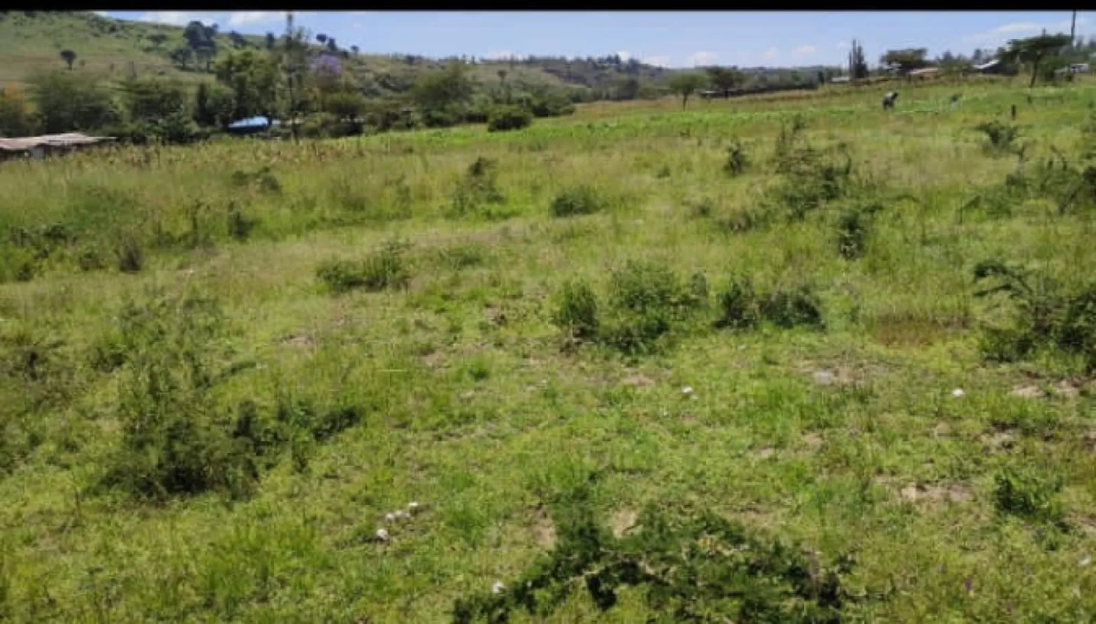 Land For Sale Real Estate-7 Acres Meririshwa Mbaruk Clean Tittle Deed NAKURU 5M per ACRE Cheapest! 1
